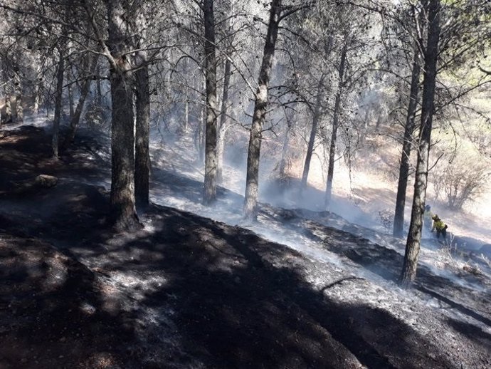 Incendio forestal en el paraje El Romeral.