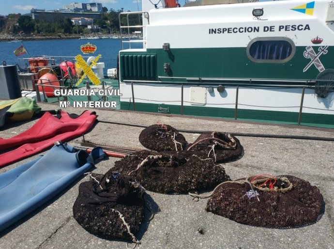 Marisco intervenido a furtivos