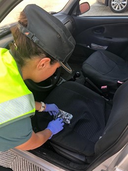 Imagen del vehículo.