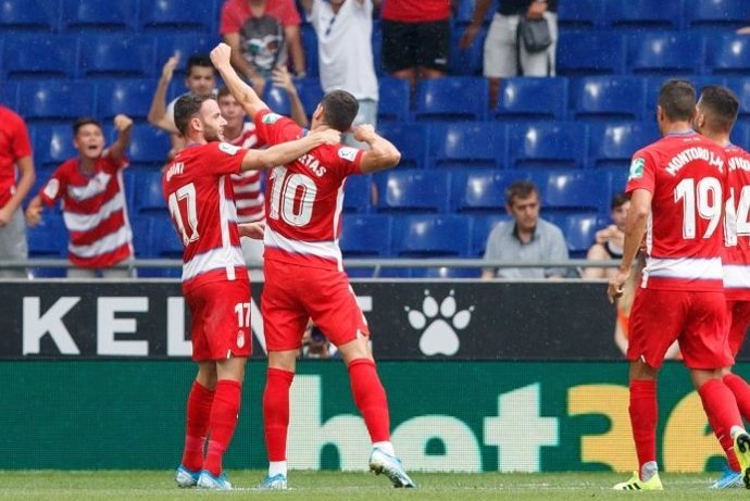 Varios jugadores del Granada CF celebran un gol.
