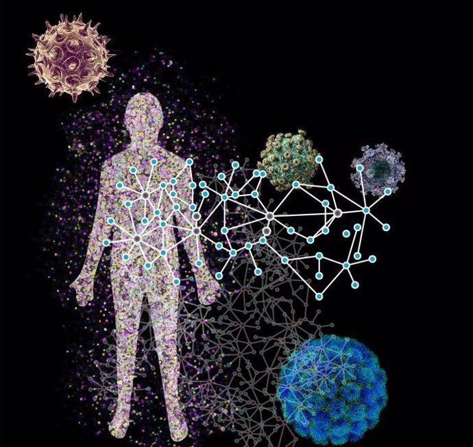 Un marco computacional que infiere las interacciones entre los patógenos y las proteínas humanas, los componentes básicos de los virus y las células. El marco se está utilizando para comprender cómo los virus infectan a los humanos.