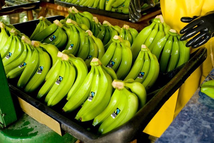 El calentamiento global pone en peligro el cultivo del plátano en los países pro