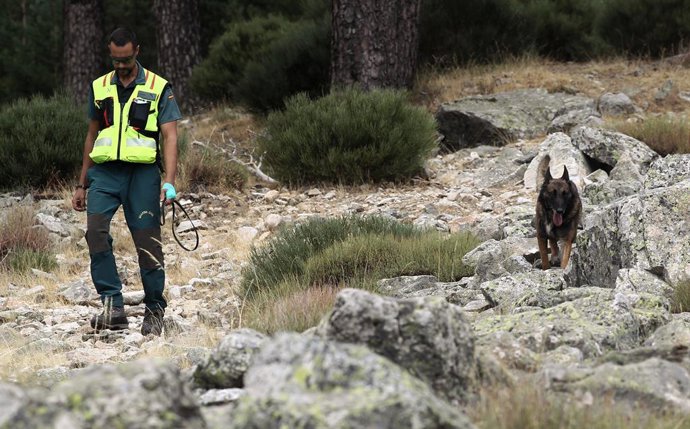 Acompanyat d'un gos de rastreig, un agent de la Gurdia Civil continua amb els treballs de cerca de l'esquiadora i medallista olímpica, Blanca Fernández Ochoa, desapareguda el passat 26 d'agost.