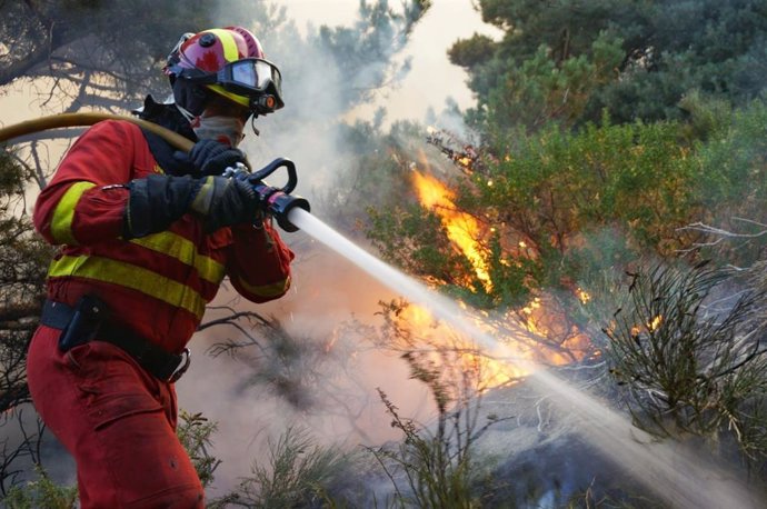 Efectivos de la UME trabajan en las labores de extinción del incendio de La Granja.