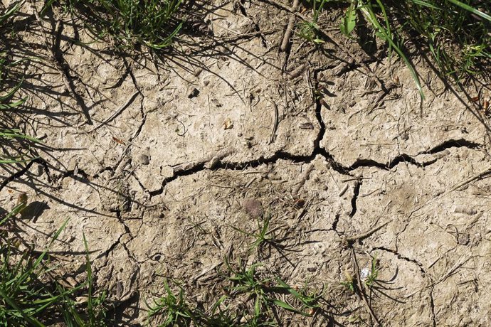 Un nuevo fenómeno de retroalimentación impulsa el aumento de la sequía y la arid