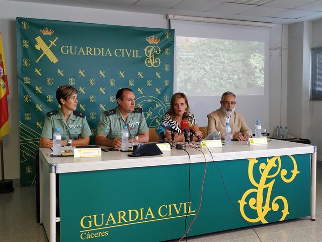 Desmantelada la mayor plantación de marihuana en Extremadura
