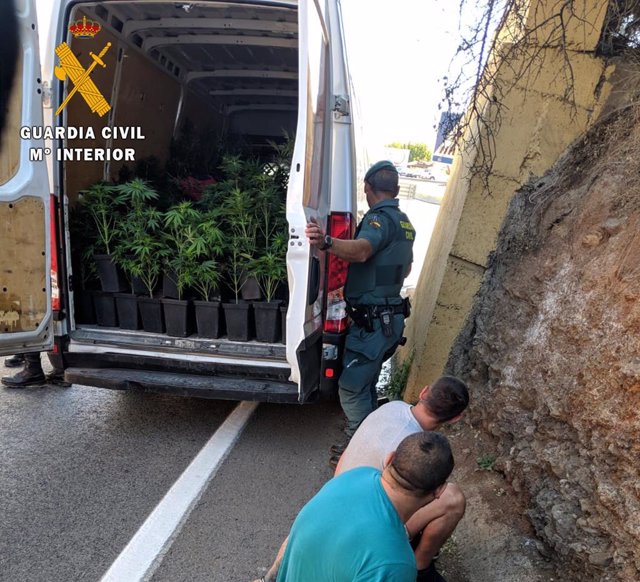 Operación contra el cultivo y tráfico de marihuana en el área metropolitana de Granada