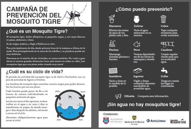 Hoja informativa sobre la campaña de prevención del mosquito tigre