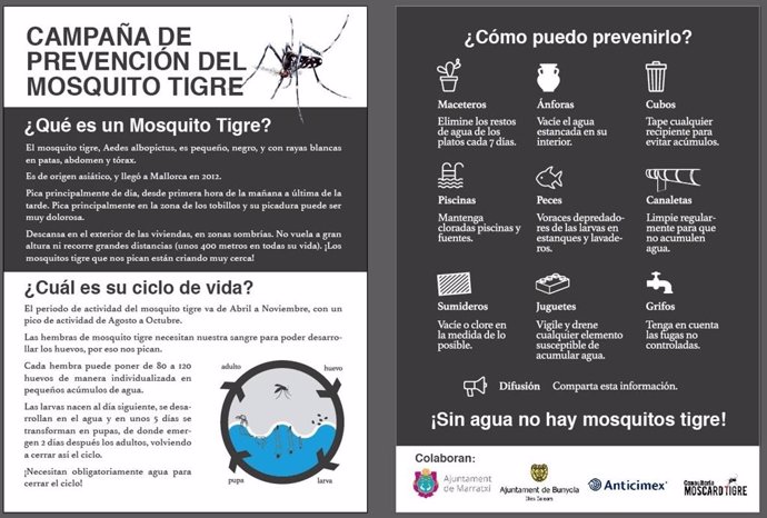 Fulla informativa sobre la campanya de prevenció del mosquit tigre