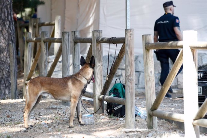Un gos de rastreig i un agent de la Gurdia Civil en Cercedilla, al centre basi del dispositiu de cerca de l'exesquiadora Blanca Fernández Ochoa, desapareguda en la serra de Madrid el passat 23 d'agost.