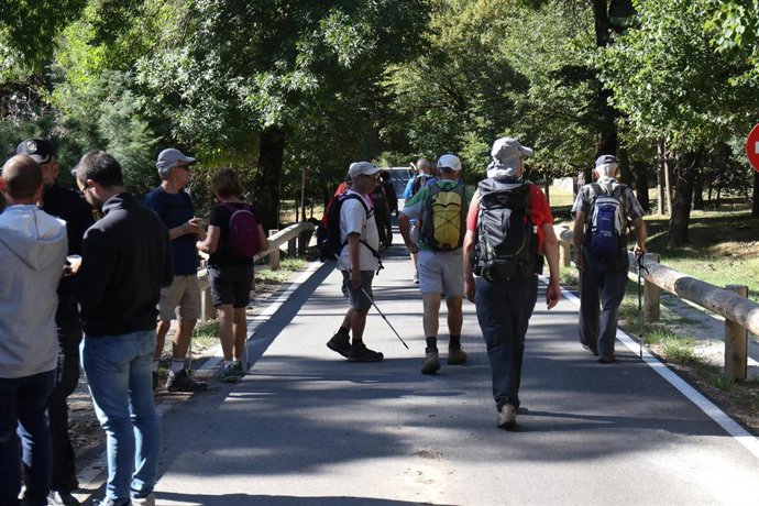 Voluntarios de rastreo peinan la sierra madrileña de las inmediaciones de Cercedilla, en busca de la exesquiadora, Blanca Fernández Ochoa, 12 días después de su desaparición.
