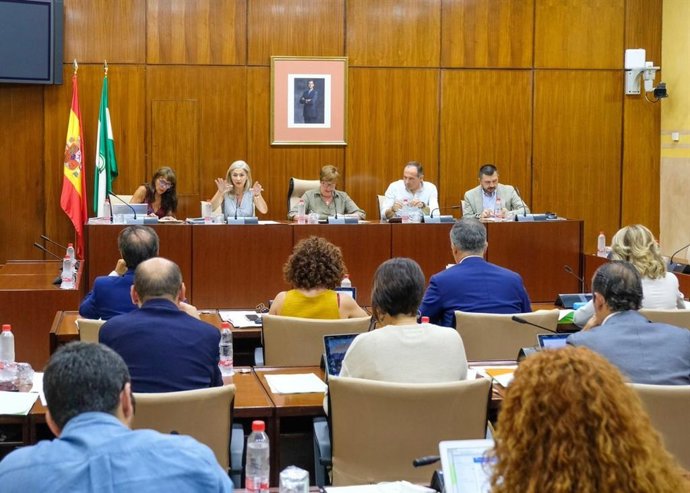Patricia del Pozo en Comisión de Cultura en el Parlamento