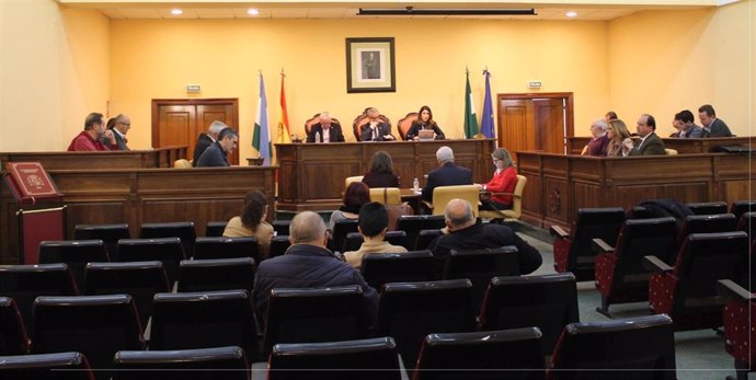 Una sesión del Pleno del Ayuntamiento de Lucena a finales del pasado mandato municipal.