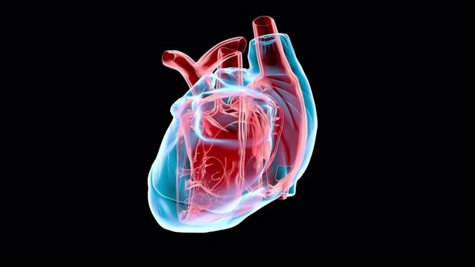Pequeñas variaciones en los genes pueden aumentar el riesgo de padecer una enfermedad cardíaca.