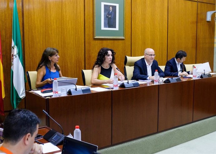 La consejera de Igualdad, Rocío Ruiz, durante su comparencia este jueves en comisión parlamentaria.