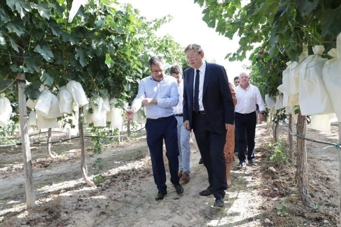 Agua.- Puig: "El agua es irrenunciable, el Tajo-Segura es irrenunciable y vamos 