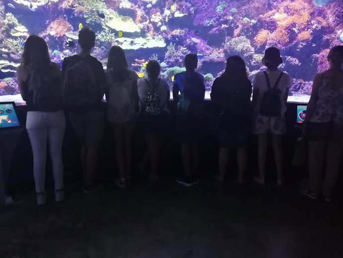 Más de 30 jóvenes participaron en la escuela de verano de la Unidad de Salud Mental Infanto-Juvenil del Valme