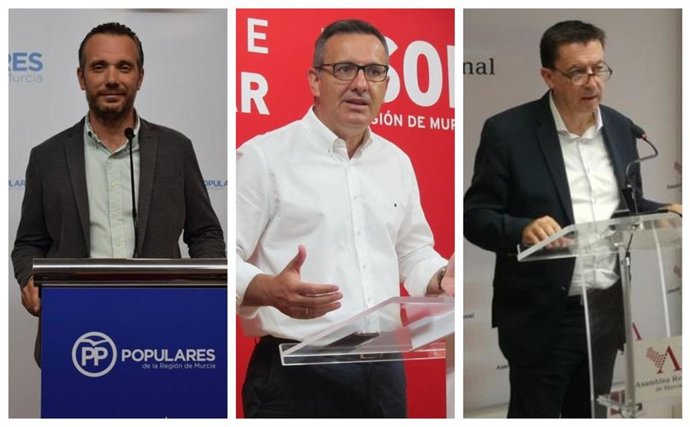 COLLAGE portavoz del Grupo Parlamentario Popular, Joaquín Segado, el del Grupo Parlamentario Socialista, Diego Conesa y el diputado de Ciudadanos Juan José Molina