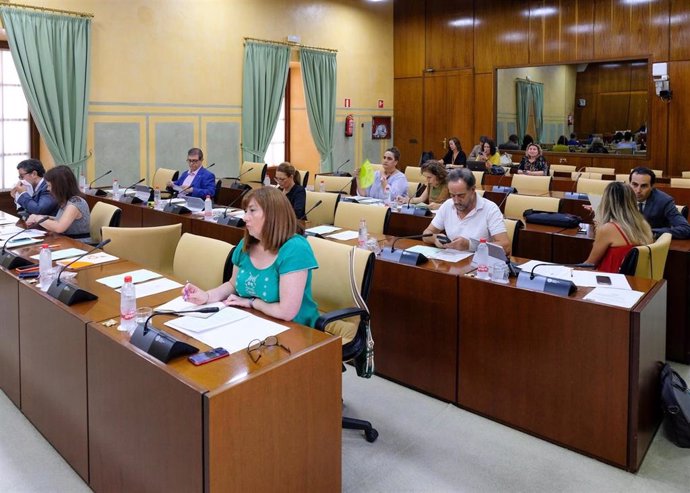 Imagen de la reunión de este jueves de la Comisión de Igualdad del Parlamento de Andalucía.