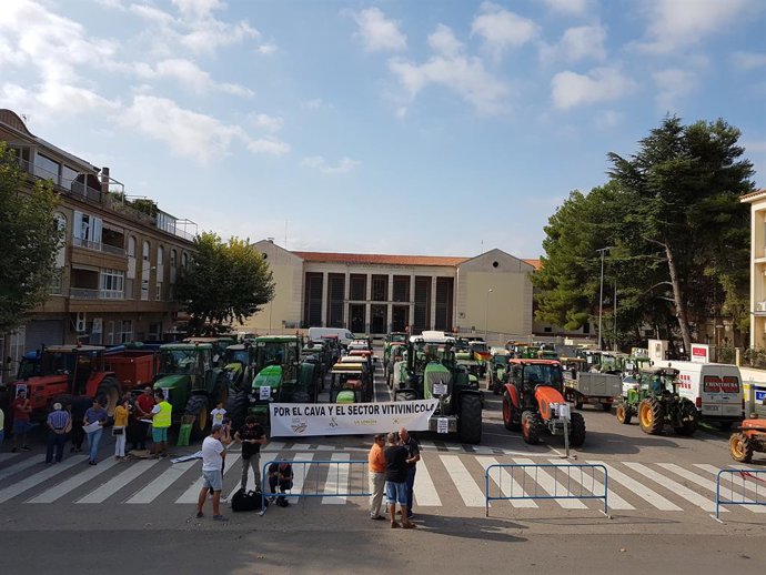Un millar de viticultores con 200 tractores marchan en Requena para reclamar pre
