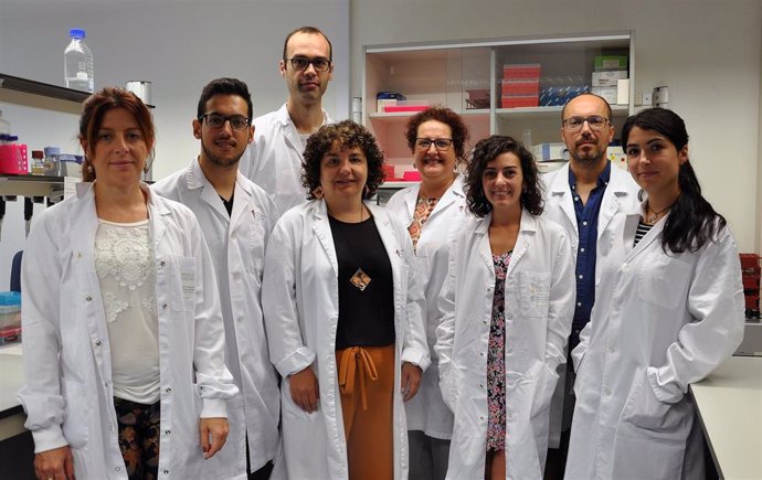 Especialistas europeos se reúnen en Valncia para investigar el impacto en la microbiota intestinal de la comida y las técnicas de cocción