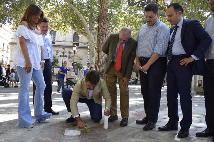 Beltrán Pérez limpia la Plaza Nueva