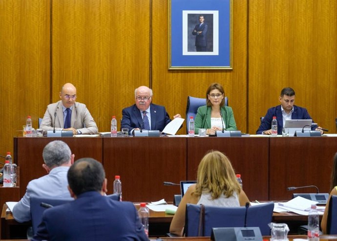 Jesús Aguirre en la Comisión de Salud