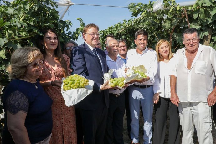 Puig destaca la "autenticidad" de la uva del Vinalopó y apuesta por abrir mercad
