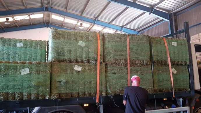 Balas de alfalfa que se distribuirán a los ganaderos de Mallorca y Menorca.