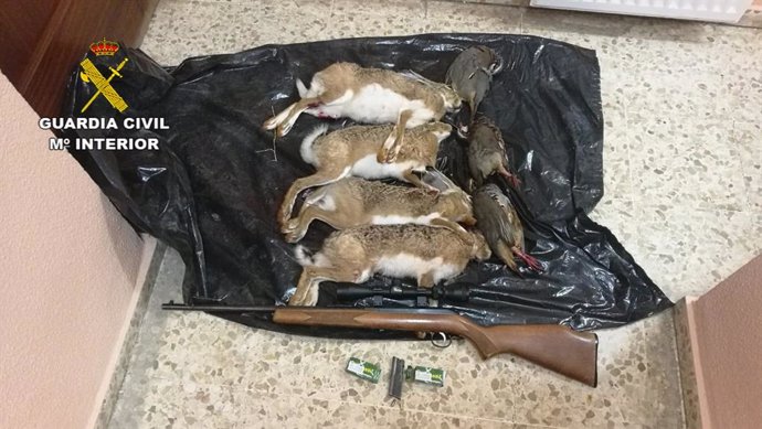 Piezas de caza menor cazadas furtivamente en Villamayor de Calatrava