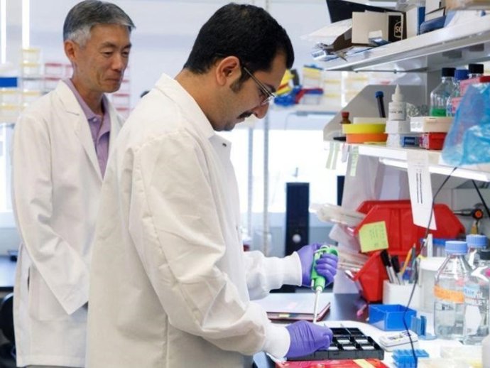 Encuentran una molécula que aumenta la grasa corporal aunque se coman productos sanos, según un estudio