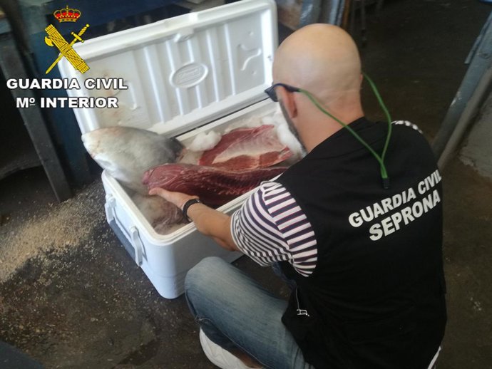 Valencia.- Sucesos.- Investigadas tres personas por la pesca ilegal de atún rojo