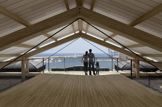 Imagen del anteproyecto de cubierta para la Catedral de Málaga