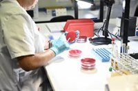 Sanidad alerta de que el lote de carne mechada 'Sabores de Paterna'  con listeria fue vendido en Andalucía y Madrid