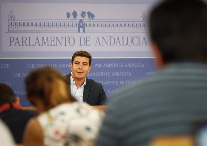 El portavoz del Grupo Parlamentario Ciudadanos (Cs), Sergio Romero, en una rueda de prensa. Foto de archivo