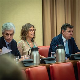 La diputada del Partido Popular por Murcia en el Congreso de los Diputados, Isabel Borrego