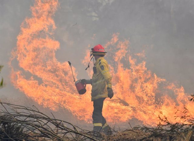 Los bomberos de Australia luchan por extinguir por tercer día consecutivo los in