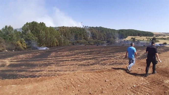 Incendios.- El fuego arrasa 72.668 hectáreas en ocho meses, casi cuatro veces má