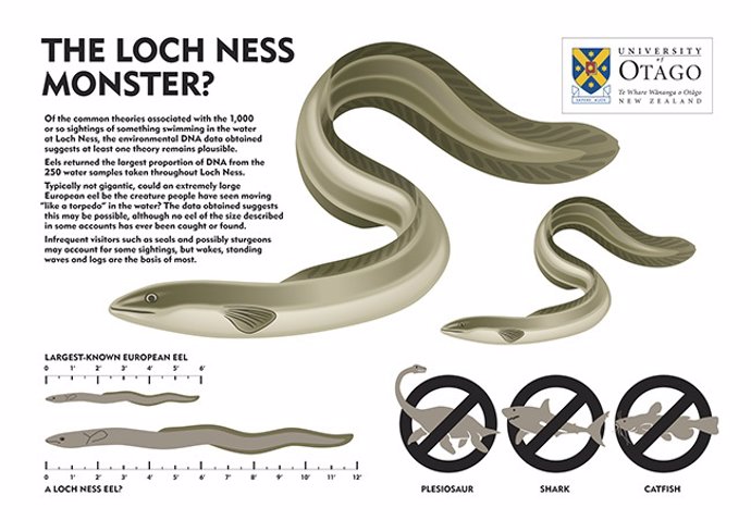 ADN apunta a anguilas gigantes tras los avistamientos del Lago Ness