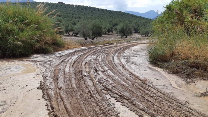 Estado del camino de la Dehesa tras las lluvias registradas en Torres.