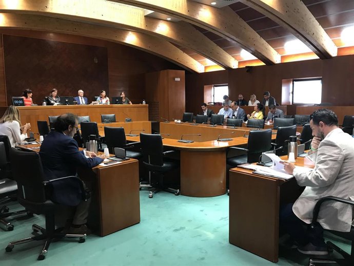 Comisión parlamentaria de las Cortes de Aragón.