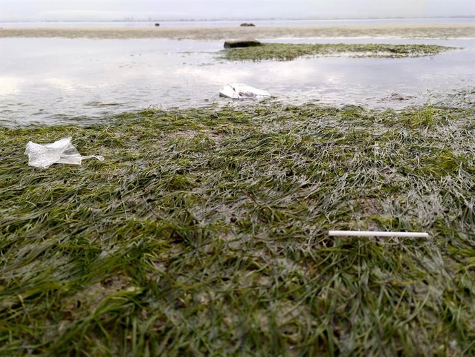 La II edición de 'Mares circulares' premiará a investigadores y emprendedores qu