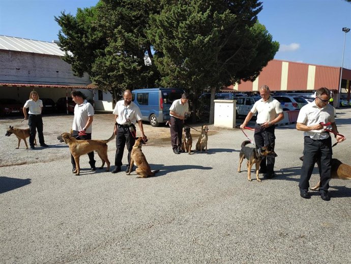 Comienza el primer curso de formación de Guías Caninos para funcionarios de prisiones en Los Barrios (Cádiz)
