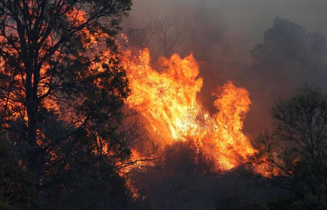 Incendios forestales en Queensland, Australia.
