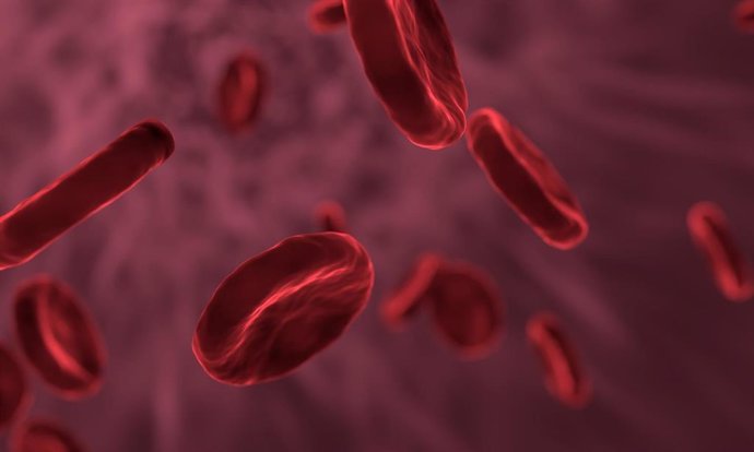 La Universidad ITMO en San Petersburgo (Rusia) ha desarrollado un nuevo sistema para detener hemorragias internas basado en nanopartículas con trombina impulsadas por un sistema magnético, que ha demostrado ser hasta 15 veces más eficaz a la hora de evi