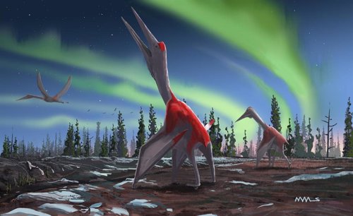 Pterosaurio Cryodrakon boreas