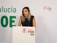 PSOE pide que la consejera de Fomento explique en el Parlamento el proyecto de la autovía Huelva-Cádiz