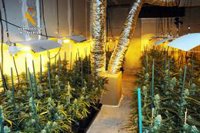 El jefe de Policía dice que las cifras de la Fiscalía sobre tráfico de drogas refleja que la prevención funciona