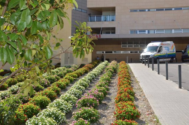 Jardines con los nuevos arbustos plantados en el hospital de Jaén.