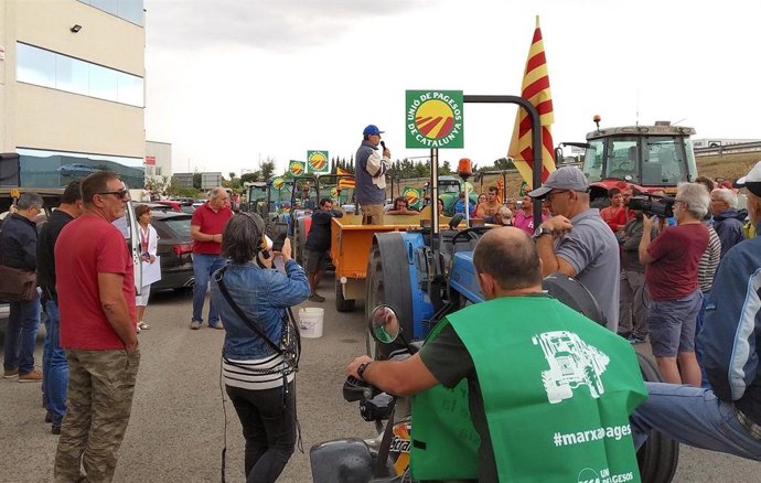Un manifestante encima de un tractor en una marcha de Unió de Pagesos contra los bajos precios de la avellana